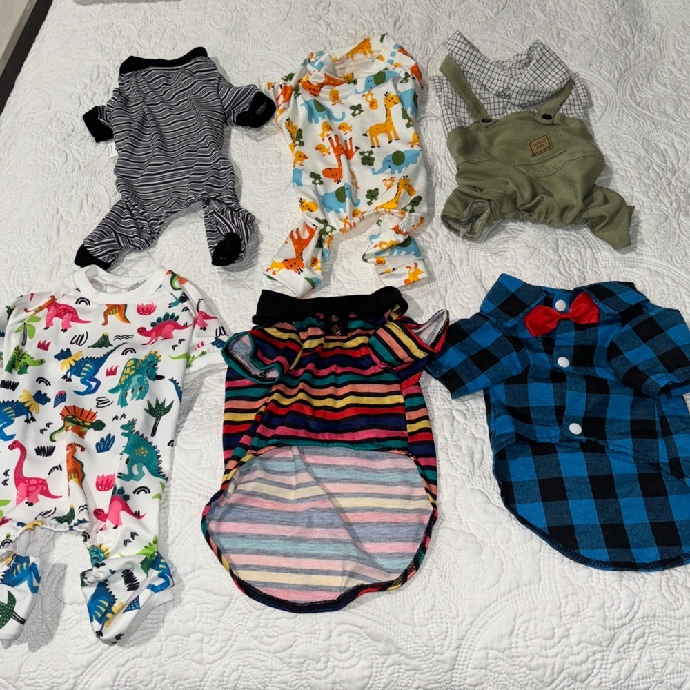 Colorful Pet Onesie Set